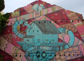 Lãs que tecem futuros: O Projeto WOOL e a jornada rumo à inclusão social